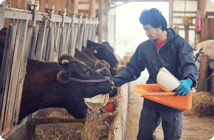 合同会社ABIS［エイビス］畜産衛生や動物衛生に興味のある方、化学物質に頼らない畜産物生産者等が疾病治療の目的で利用